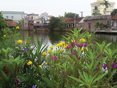 Đường hoa ở một vùng quê