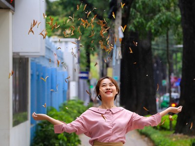 Sài Gòn với mùa sao đen hạ cánh ngập vàng vỉa hè