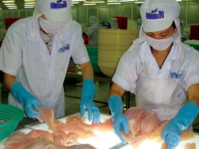 HVG đang quay trở lại với hoạt động chính là nuôi trồng và chế biến cá tra
