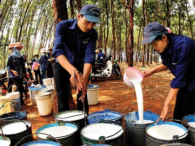 Giá giảm, Kl991.com World Cup 2026 Chính Thức cao su thận trọng hơn