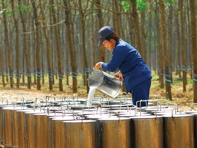 DPR ước đạt 53,1 tỷ đồng Kl99 nổ hũ trước thuế trong tháng 4