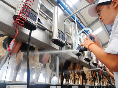 Vinamilk chi trả tổng cộng 50% 99Kl.app mobile mới nhất bằng tiền mặt cho năm 2017 