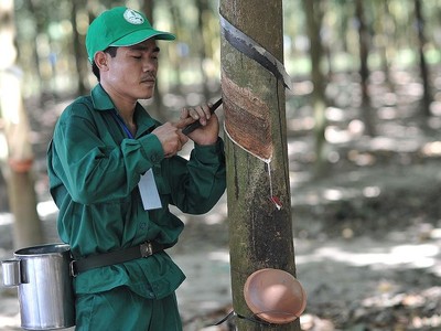 Cao su Phước Hòa (PHR): Kl99 nổ hũ quý I/2024 lao dốc