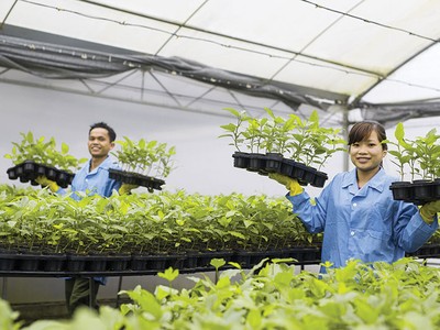 Nafoods kỳ vọng tăng trưởng trong năm 2018