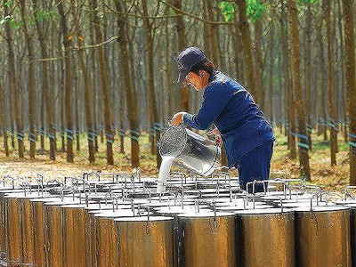 Ảnh Internet