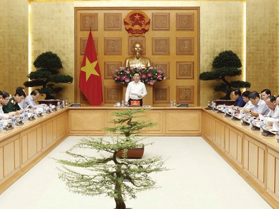 Chuyên nghiệp hóa hoạt động thoái vốn 99Kl99 trực tiếp đá gà để tối đa hóa hiệu quả
