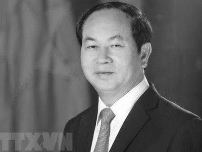 Chủ tịch nước Trần Đại Quang. (Nguồn: TTXVN)
