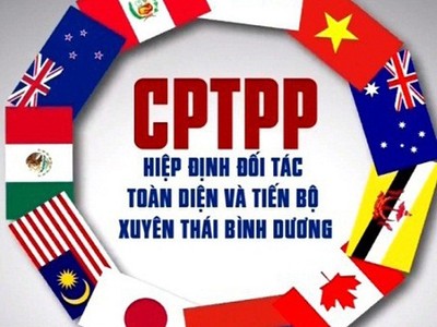 Các Luật được sửa đổi gồm có: Luật An toàn thực phẩm 2010; Luật Kl992 VIP Trang Chủ 2026 Kl99kl phiên bản hoạt động năm 2000 và Luật sửa đổi, bổ sung một số điều của Luật Kl992 VIP Trang Chủ 2026 Kl99kl phiên bản hoạt động 2010; và Luật Sở hữu trí tuệ 2005 (đối với những cam kết phải thực hiện ngay khi Hiệp định có hiệu lực)