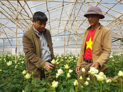 Ông Nguyễn Xuân Quả (phải) bên vườn hoa hồng
LÂM VIÊN
