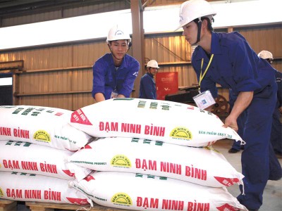 Nhà máy Đạm Ninh Bình hiện đang hoạt động được là do khách hàng ứng trước tiền. Ảnh: Đức Thanh
