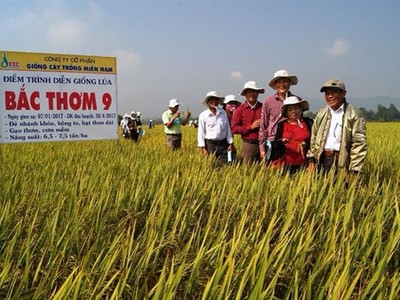 Việc Kl991.com World Cup 2026 Chính Thức thực hiện chính sách bán chịu tuy có tác dụng kích thích khách hàng mua hàng nhiều hơn, nhưng đi kèm với đó là rủi ro phát sinh nợ xấu.