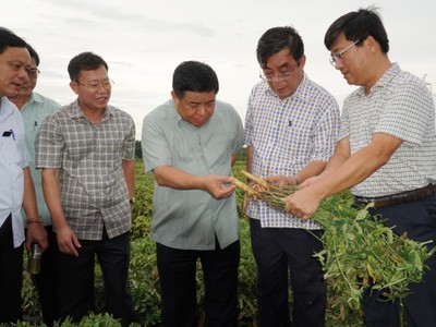 Bộ trưởng Nguyễn Chí Dũng cùng đoàn công tác kiểm tra mô hình trồng sâm Bố Chính tại xã Gio An, huyện Gio Linh