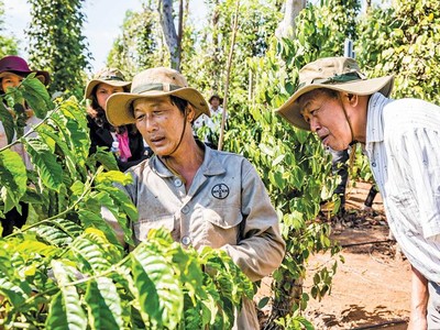 Bayer đang triển khai các khóa đào tạo nâng cao năng lực cho người nông dân nhằm cải thiện năng suất, chất lượng nông sản.