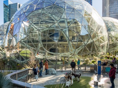 Spheres Amazon: Rừng trong phố, phố trong rừng