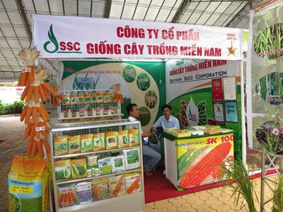 Áp lực từ sự phình to các khoản phải thu của Giống cây trồng miền Nam (SSC)