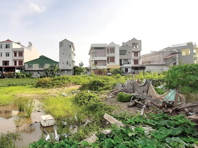 Nhiều khu đất đấu giá tại Bắc Giang được người mua đẩy giá lên cao, sau đó bỏ của chạy lấy người