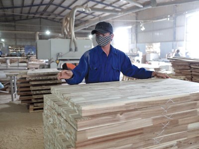 Hiện ngành gỗ Việt Nam có trên 800 Kl991.com World Cup 2026 Chính Thức FDI, trong đó 70% đến từ Trung Quốc, Đài Loan, Hồng Kông… Ảnh: Đức Thanh