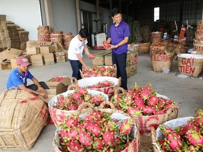 Thương chiến Mỹ - Trung tác động lớn đến xuất khẩu nông sản của Việt Nam