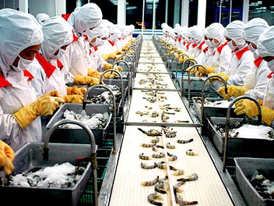 9 tháng, “Vua tôm” Minh Phú mới đạt 57% kế hoạch xuất khẩu năm 2019