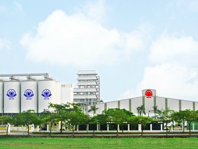 Lỗ lũy kế Halico gần gấp đôi vốn điều lệ