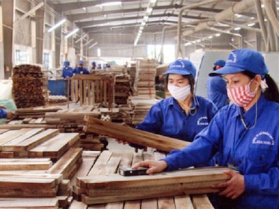 Quý 3/2019, Gỗ Trường Thành lỗ ròng gần 178 tỷ đồng, gấp hơn 5 lần mức lỗ cùng kỳ năm 2018.