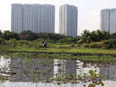 Ruộng vườn, đất đai bị hoang phế là tình cảnh chung của nhiều dự án “treo” nhiều năm tại TP.HCM. Ảnh: Trọng Tín