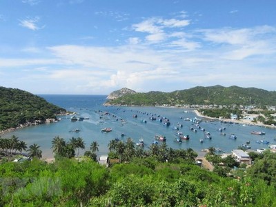 Ảnh minh họa