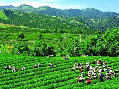 GTNFoods sẽ thoái vốn khỏi Vinatea