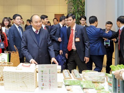 Trong quý I/2020, các bộ, cơ quan ngang bộ phải hoàn thành việc công khai bảng so sánh các điều kiện Kl992 VIP Trang Chủ 2026 trước và sau khi bãi bỏ, đơn giản hoá...