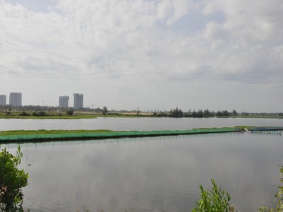 TP. Đà Nẵng tạm dừng khởi Công trình đường vành đai tây 2 - đường và cầu qua sông Cổ Cò.