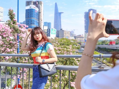 Đường phố Sài Gòn nên thơ với sắc hoa Kèn Hồng