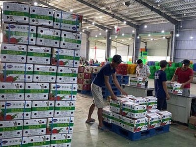 Bộ Công Thương đề nghị các địa phương hạn chế đưa hàng hóa lên biên giới, trừ trường hợp đưa lên để xuất khẩu theo hình thức chính ngạch và đối tác phía Trung Quốc có khả năng nhận hàng.