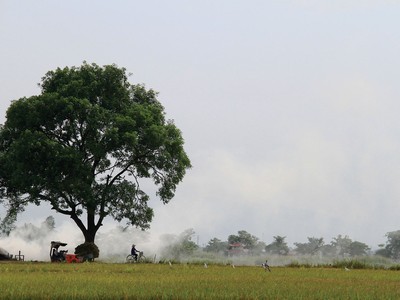 Làng xưa, làng nay