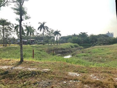Ảnh Internet