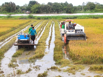 Bộ Công Thương kiến nghị hoãn quyết định tạm ngừng xuất khẩu gạo