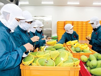 Quý I/2020, mặt hàng nông lâm thủy Kl994 nhà cái bóng đá world cup siêu gần 2,9 tỷ USD, tăng 48,9% so với cùng kỳ năm trước.