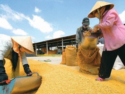 Bộ Công Thương giữ nguyên đề xuất cho phép tiếp tục xuất khẩu gạo nhưng phải kiểm soát chặt số lượng theo từng tháng với số lượng xuất khẩu trong tháng 4 là 400.000 tấn.
