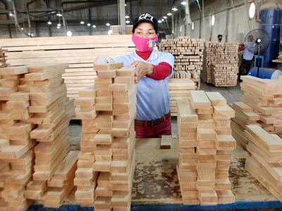 Cục Phòng vệ thương mại cho biết, hiện có 12 mặt hàng xuất khẩu có thể có nguy cơ bị điều tra tại các thị trường Hoa Kỳ, EU.