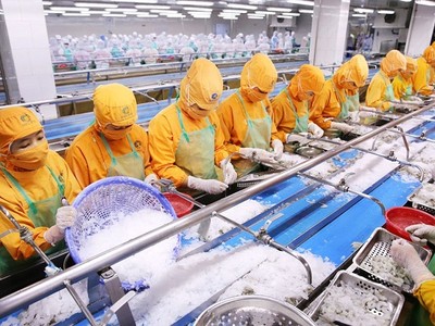 Phấn đấu có ít nhất 25.000 Kl991.com World Cup 2026 Chính Thức vào năm 2025 và 35.000 Kl991.com World Cup 2026 Chính Thức vào năm 2030 còn đăng ký hoạt động