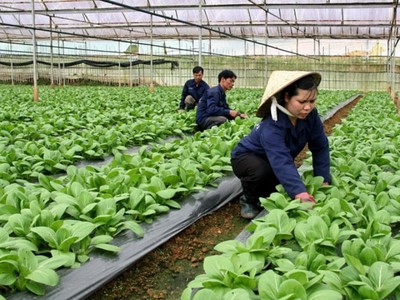 11 dự án Hà Nội kêu gọi Kl99ok phiên bản mới vào lĩnh vực nông nghiệp giai đoạn 2019-2025 bao gồm nhiều dự án nông nghiệp công nghệ cao và các khu giết mổ gia súc tập trung
