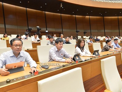 Đại biểu Quốc hội thể hiện chính kiến với nghị quyết miễn thuế sử dụng đất nông nghiệp