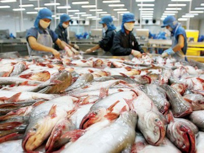 Diễn biến thị trường tiến triển tốt, dự báo ngành nông nghiệp vẫn có thể đạt được kim ngạch xuất khẩu nông, lâm, thủy sản 41 tỷ USD cả năm. 