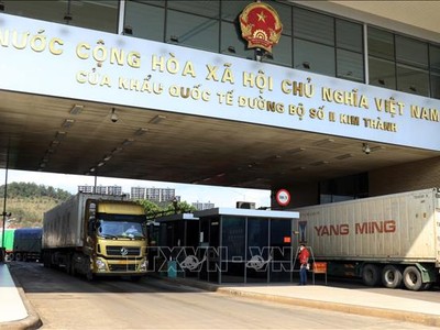Các xe hàng nông sản chờ làm thủ tục xuất khẩu sang Trung Quốc. Ảnh: Quốc Khánh/TTXVN