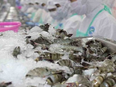 Năm nay, xuất khẩu tôm sang Trung Quốc có thể tăng 7%