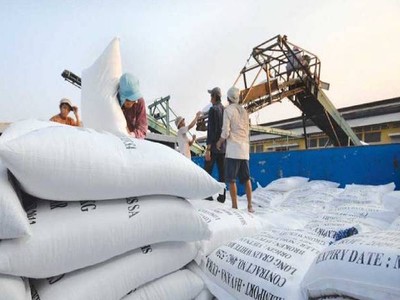 Tính đến tháng 8, mỗi tấn gạo trắng 5% tấm của Việt Nam xuất khẩu có giá cao hơn gạo Thái Lan cùng loại khoảng 15 USD.