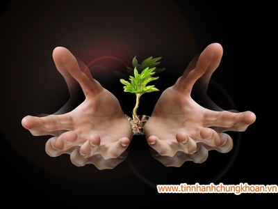 Sôi động dự án hồi sinh