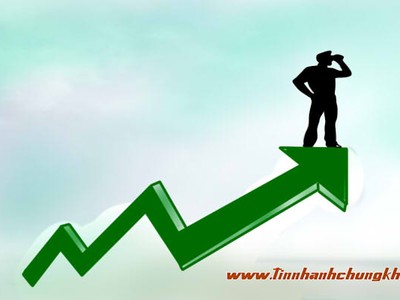 Những báo cáo làm khó Hội đồng chung khảo