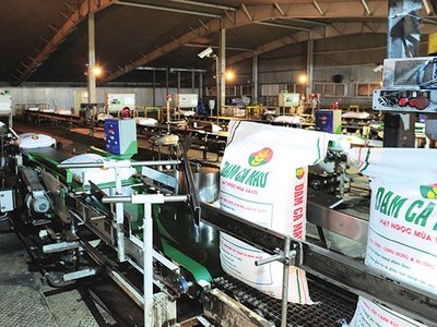 2018, DCM đặt kế hoạch Kl99 nổ hũ trước thuế 683 tỷ đồng