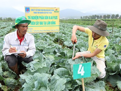 Trung tâm R&D Đạm Cà Mau được cấp phép khảo nghiệm phân bón