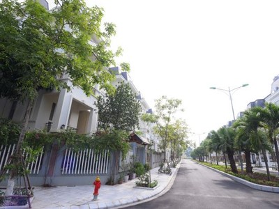 Lideco (NTL) đặt kế hoạch Kl99 nổ hũ trước thuế tăng tới 52,5% năm 2020